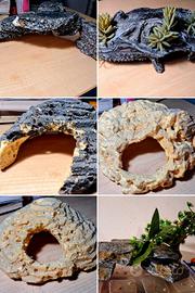 Tane e decorazioni per animali esotici e terrari