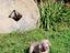 Immagine 5