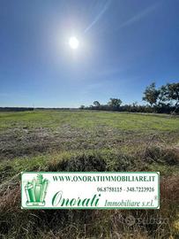 Terreno di 8000 m² a Fiumicino