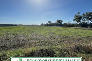 Terreno di 8000 m² a Fiumicino