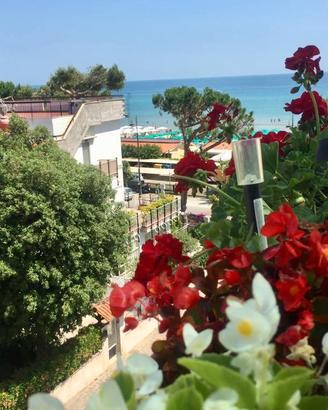 Monolocale in Terrazza a 50 mt dalla spiaggia