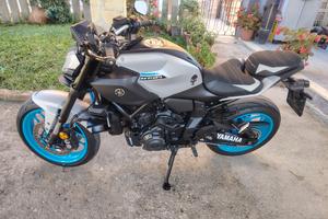 Mt 07 2025 Y amt