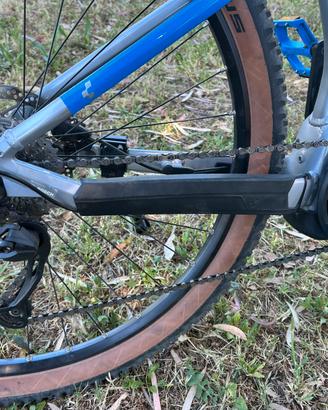 Bici elettrica
