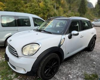 MINI DS 4x4