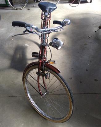 Bicicletta raleigh royal roaster
