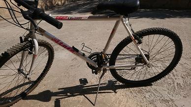 Bicicletta mountain bike