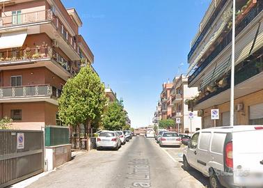 Palmarola luminoso quadrilocale