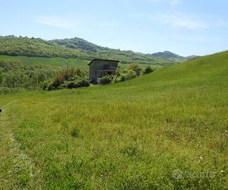 Immobile da ristrutturare+rurale, terreno agricolo