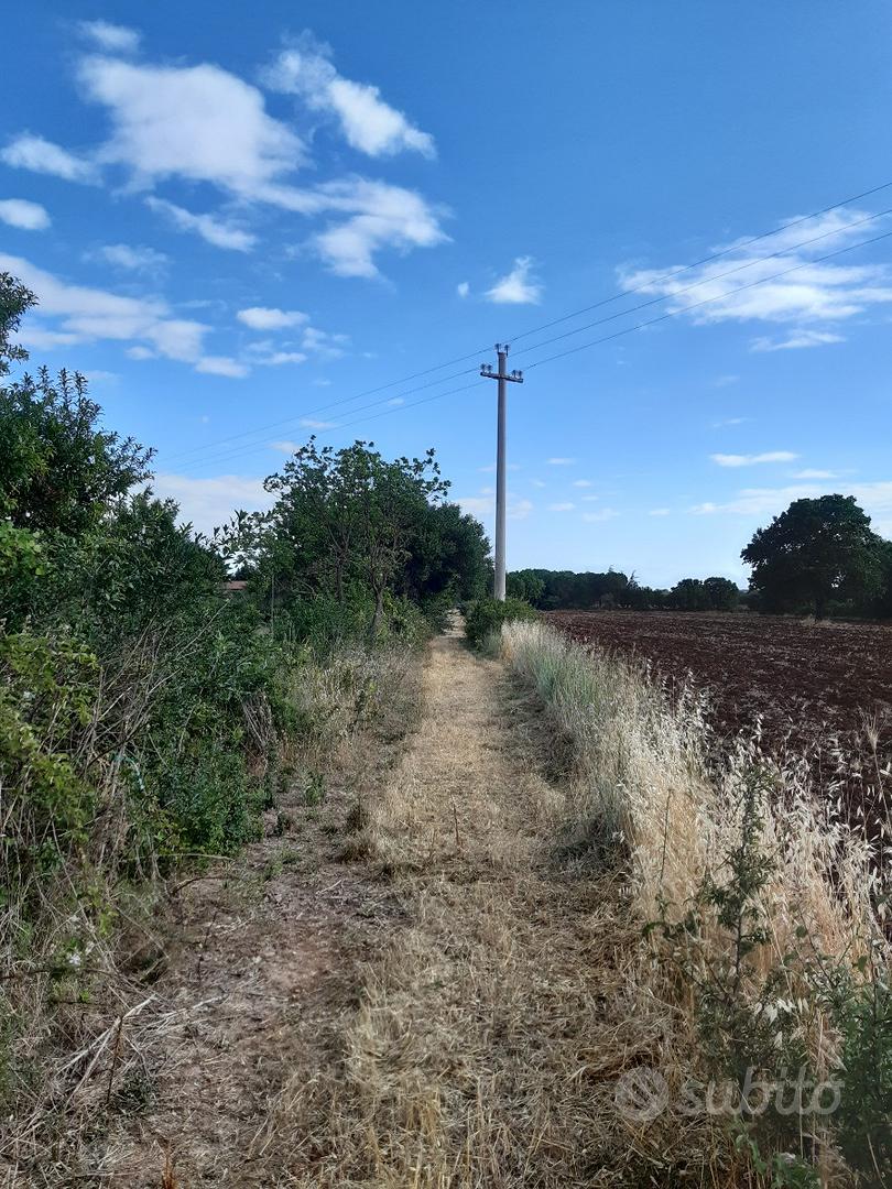 Terreno di 1600mq a 2 km dal paese - Vista 6