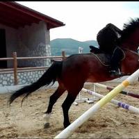 Cavallo