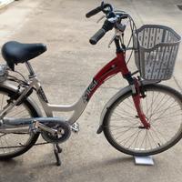 Bicicletta a pedalata assistita
