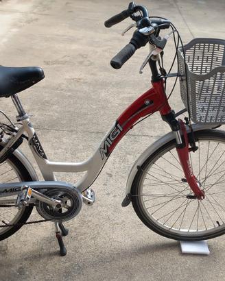 Bicicletta a pedalata assistita