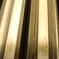 neon T5  54W 840.    115 cm