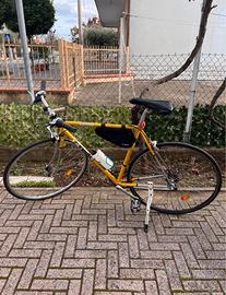 Bici da Corsa Taglia 54 convertita a stradale