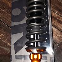 Minarelli Polini Evolution Malossi mhr team 