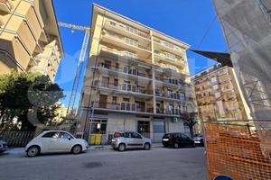 Negozio Isernia [Z3 BCCNNL C2VCG] (Centro)