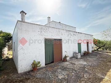 Casa Indipendente Monopoli [Cod. rif 3320003VRG]
