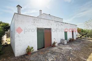 Casa Indipendente Monopoli [Cod. rif 3320003VRG]