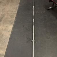 bilancere lacertosus