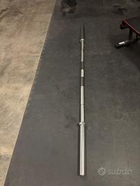 bilancere lacertosus