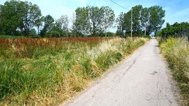 TER. AGRICOLO A EBOLI