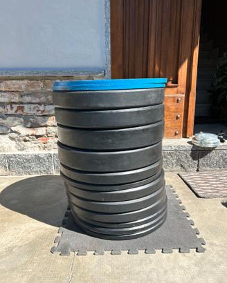 Dischi palestra bumper foro 50mm