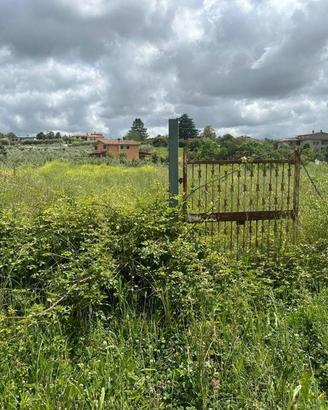 Terreno di 10000 m² a Velletri