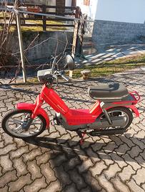 atala idea 