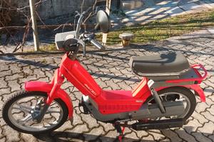 atala idea 