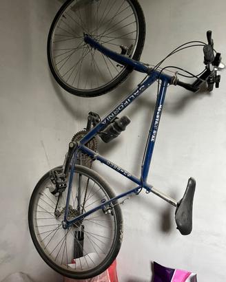 Bicicletta