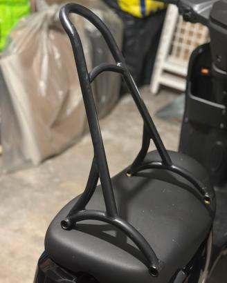 Sissy bar harley davidson sportster