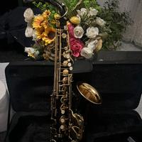 Sassofono sax contralto