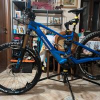 orbea wild 