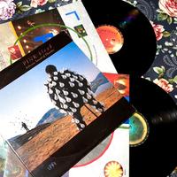 Pink Floyd Delicate Sound of Thunder 2LP EMI 1988