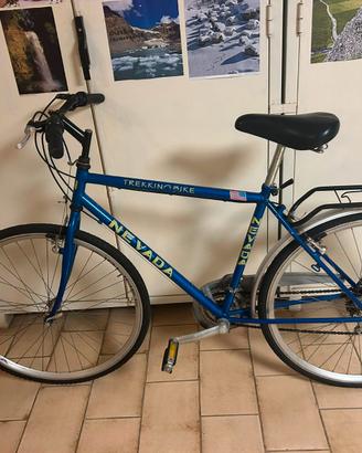 Bicicletta da passeggio