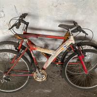 2 mtb ed una graziella vintage