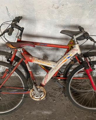 2 mtb ed una graziella vintage