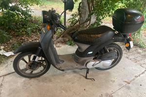 honda sky 50
