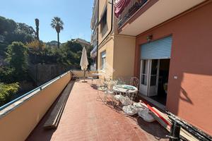 3 LOCALI A ALBISSOLA MARINA