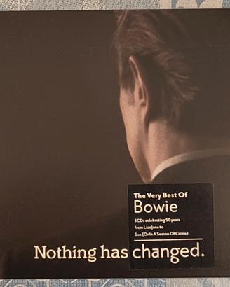 DAVID BOWIE /  NOTHING HAS CHANGED 
