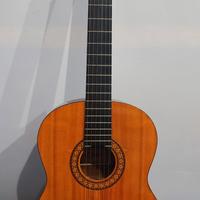 Chitarra Aria