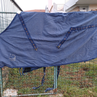 Coperta leggera in cotone cavallo