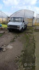 Fiat Ducato per Trasporti