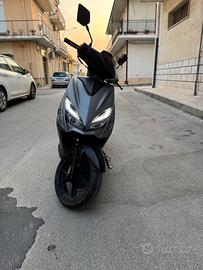 Motron Breezy 50 - 2023