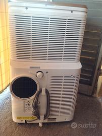 Climatizzatore Electrolux 