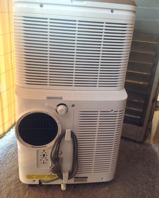 Climatizzatore Electrolux 