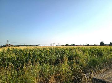 TER. AGRICOLO A INVERUNO