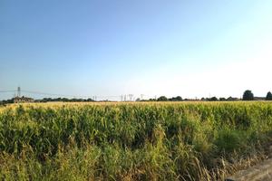 TER. AGRICOLO A INVERUNO