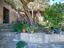 Immagine 13