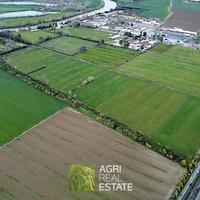 Roma - Via Salaria - Terreno di 10 ha. | TR387